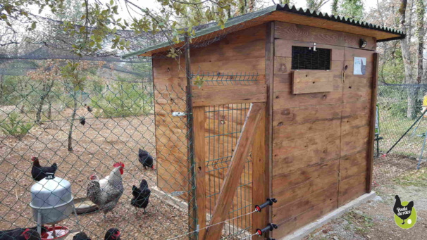 construire son poulailler construire son poulailler