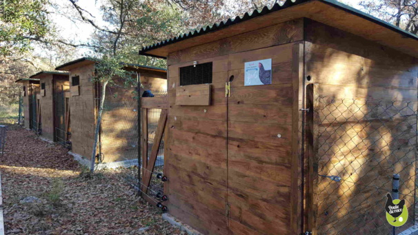 construire son poulailler construire son poulailler