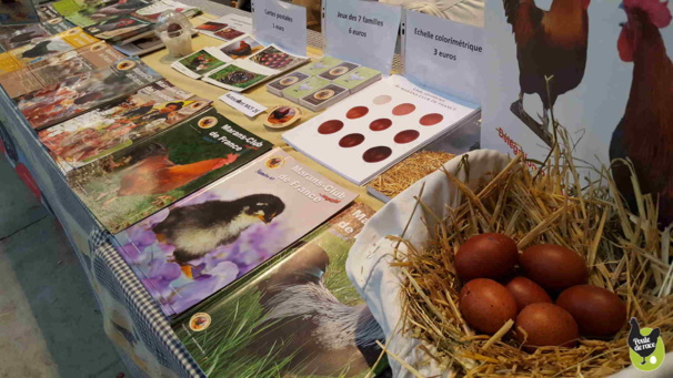 le Marans club de France pour la sauvegarde de la poule de Marans la poule aux oeufs extra roux était présent le Marans club de France pour la sauvegarde de la poule de Marans la poule aux oeufs extra roux était présent