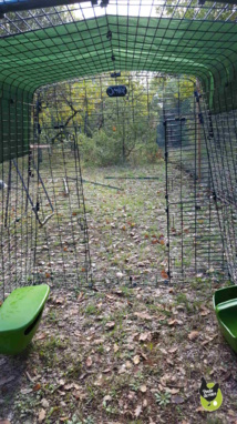vue de l'intérieur de l'enclos de l'Eglu Cube vue de l'intérieur de l'enclos de l'Eglu Cube
