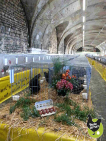 un cadre magnifique un cadre magnifique