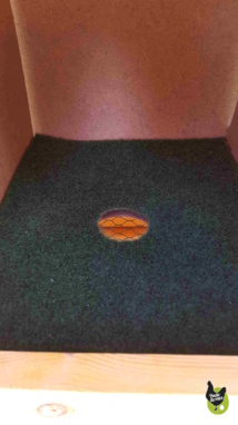 trou dans le nid permettant l'évacuation de l'oeuf trou dans le nid permettant l'évacuation de l'oeuf