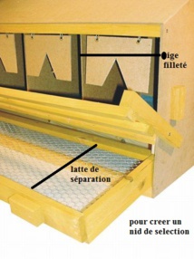 modification à effectuer pour un nid à trappe