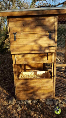 poulailler en bois poulailler en bois