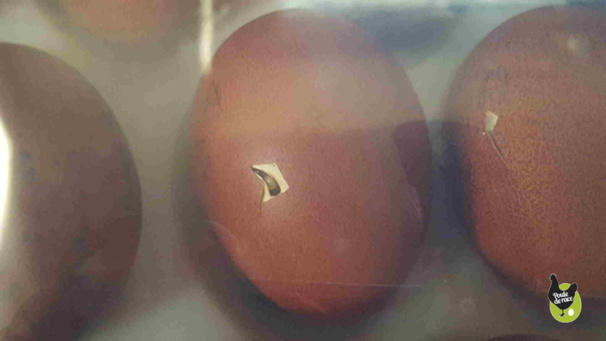 tout commence là tout commence là