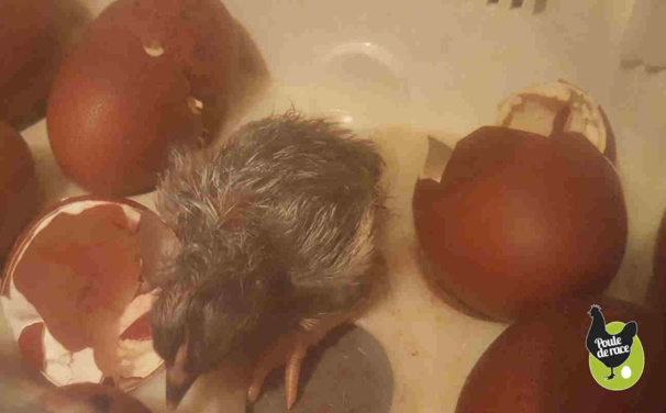 apres un dur travail apres un dur travail