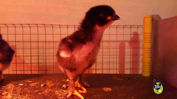 moment de découverte moment de découverte