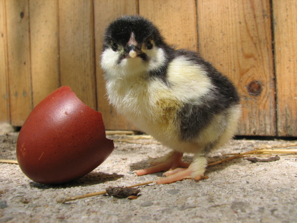 Et oui je sors de là Et oui je sors de là