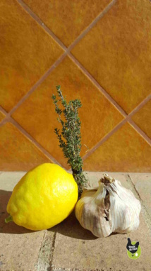 recettes d'huiles essentielles pour vos poules recettes d'huiles essentielles pour vos poules