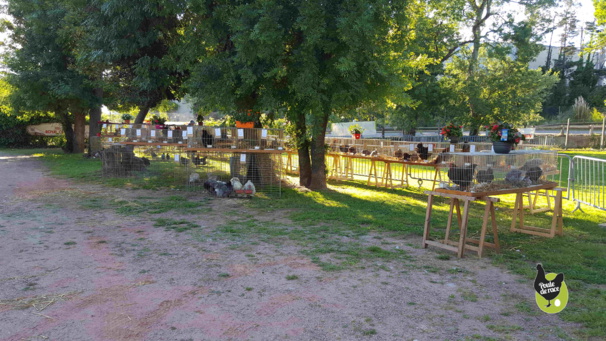 plus de 130 sujets étaient à la vente plus de 130 sujets étaient à la vente