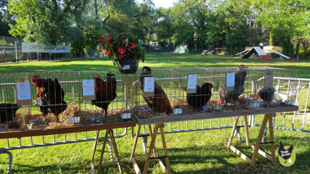 belle présentation dans un cadre agréable belle présentation dans un cadre agréable