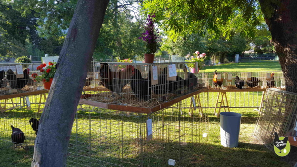 Printemps de la Marans 2017 Printemps de la Marans 2017