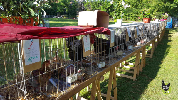 Printemps de la Marans 2017 Printemps de la Marans 2017