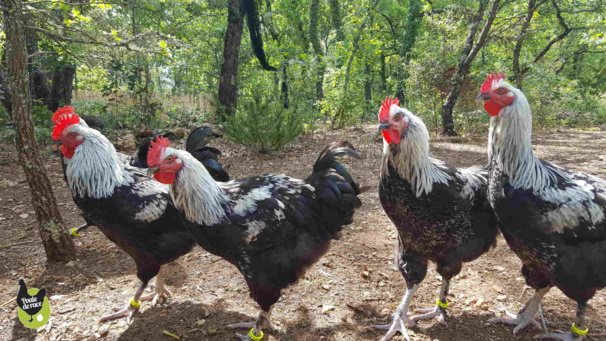 concours photos du MCF concours photos du MCF