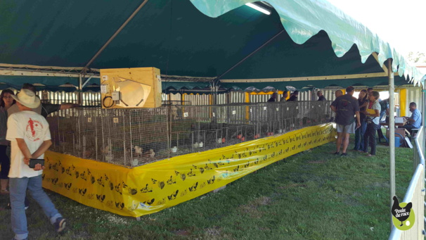 Fête européenne de la Marans Fête européenne de la Marans