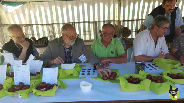 jugements des oeufs en public