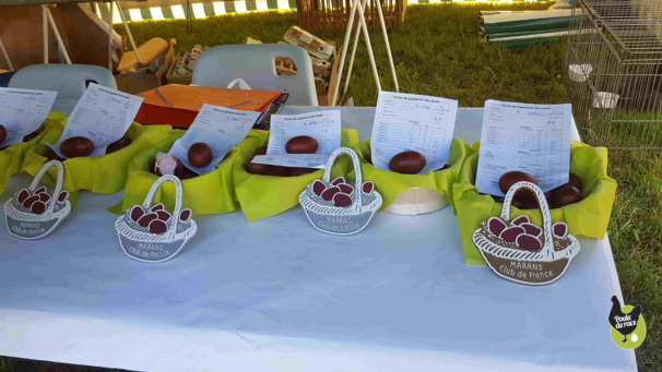 le palmares le palmares