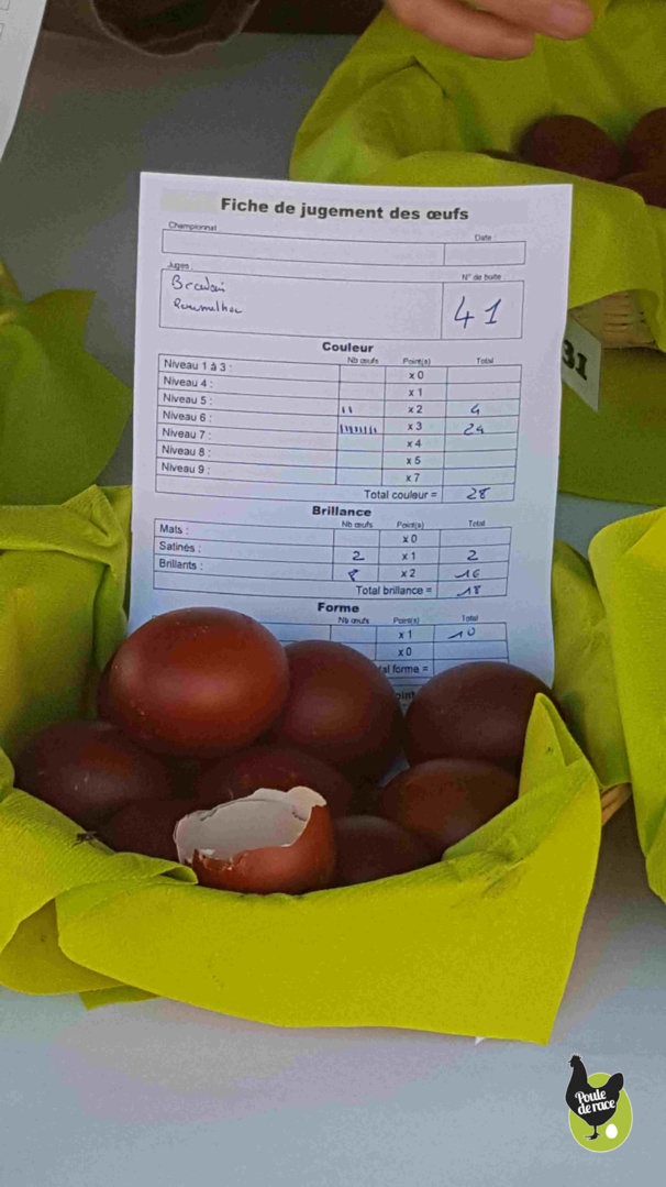 Fiche de notation établie par les juges pour chaque panier Fiche de notation établie par les juges pour chaque panier