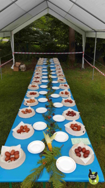 les oeufs de Marans les oeufs de Marans