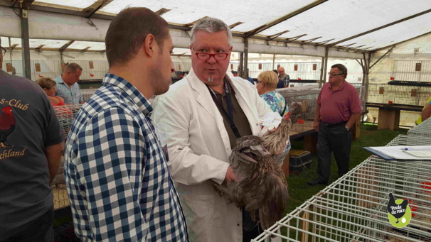 expertise de tous les sujets par des jues avicoles en public expertise de tous les sujets par des jues avicoles en public