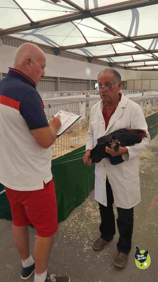 Tous les sujets ont été expertisé et noté par des juges officiels Tous les sujets ont été expertisé et noté par des juges officiels