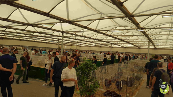 beaucoup de monde pour cette belle exposition beaucoup de monde pour cette belle exposition