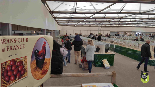 le MCF organisait le championnat regional de la poule de Marans le MCF organisait le championnat regional de la poule de Marans