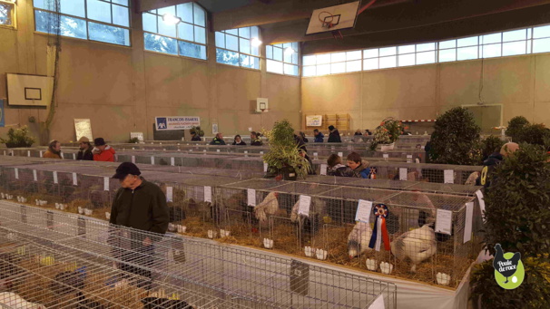 championnat de France de la Marans 2017 championnat de France de la Marans 2017