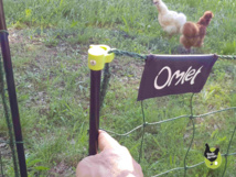 Filet à poules Filet à poules