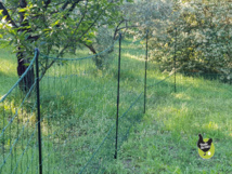 Filet à poules Filet à poules