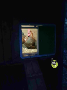 la lampe s'allume 5 min avant la fermeture de la porte la lampe s'allume 5 min avant la fermeture de la porte