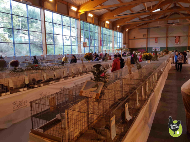 Exposition de Laragne Monteglin Exposition de Laragne Monteglin