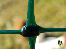 filet pour poules nouvelle génération filet pour poules nouvelle génération