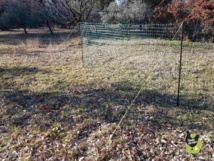 filet pour poules nouvelle génération filet pour poules nouvelle génération