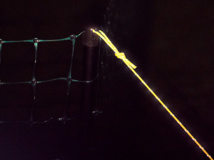 filet pour poules nouvelle génération filet pour poules nouvelle génération