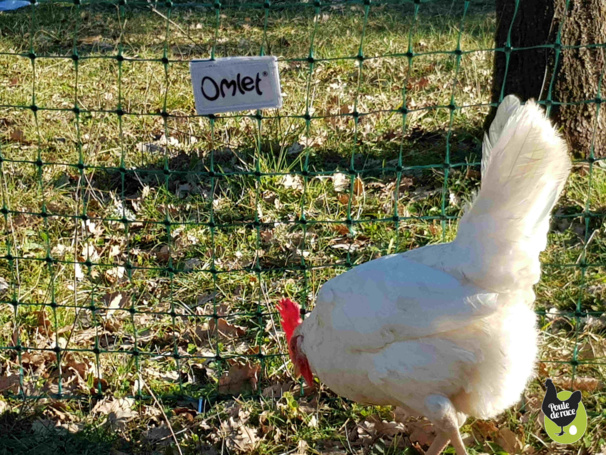 il est déplacable facilement il est déplacable facilement
