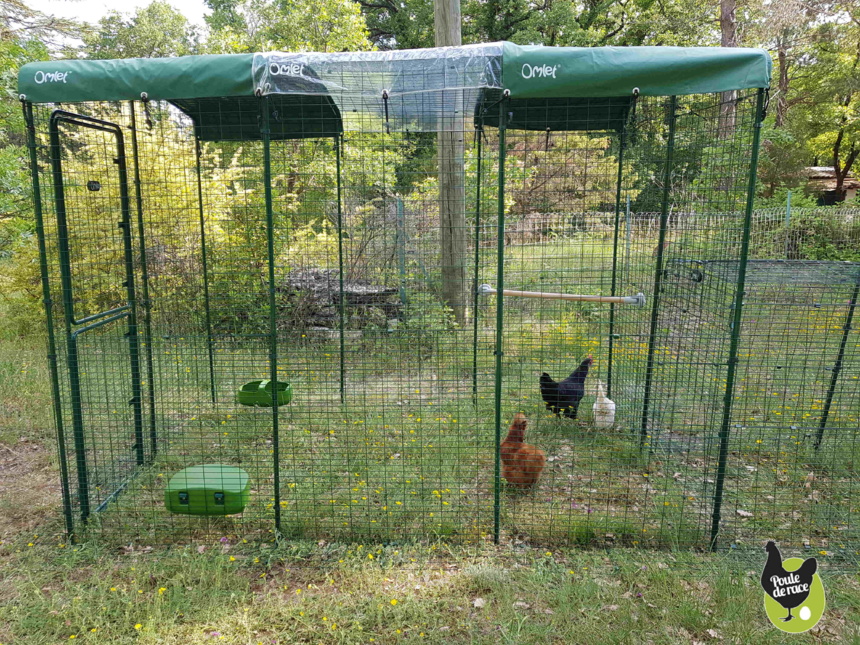 Poule Marans décorative accroche barrière [Prix Bas]