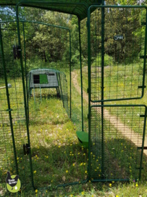 Grand enclos sécurisé Grand enclos sécurisé