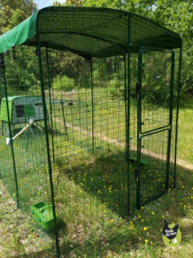 Grand enclos sécurisé Grand enclos sécurisé