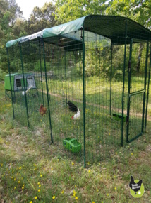 Grand enclos sécurisé Grand enclos sécurisé