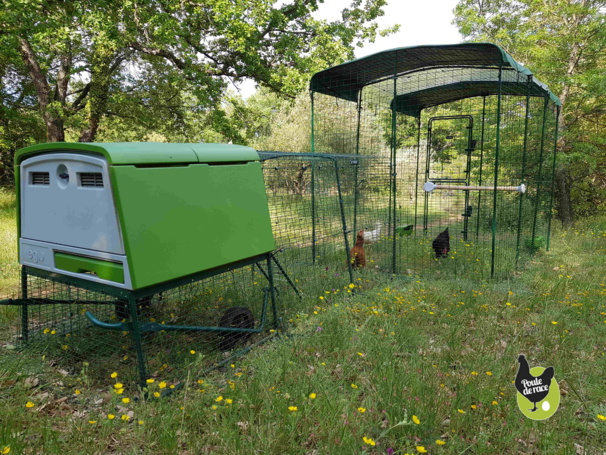 Grand enclos sécurisé Grand enclos sécurisé