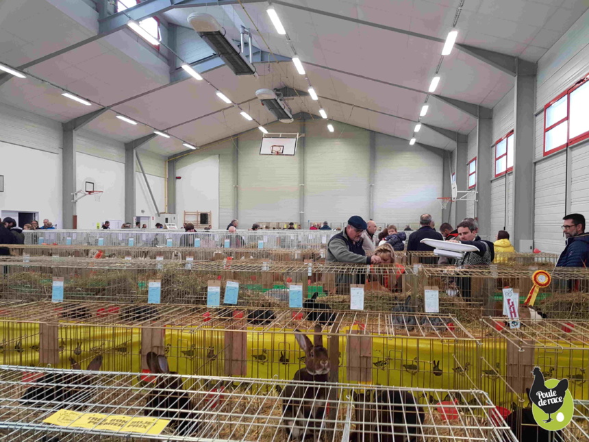 Exposition avicole de Haute Savoie Exposition avicole de Haute Savoie