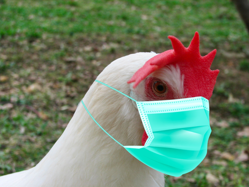 que faire pendant le confinement que faire pendant le confinement