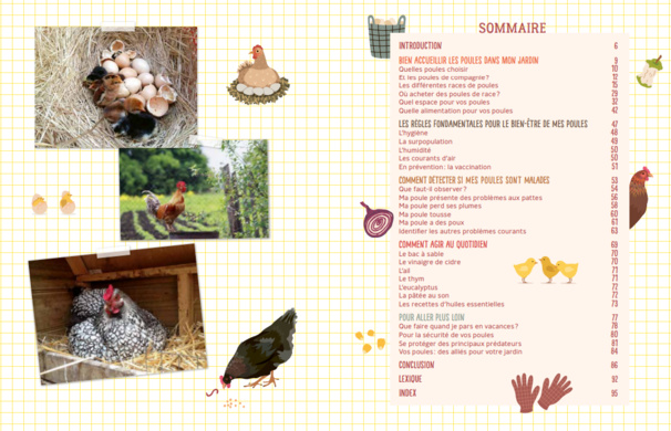 J'adopte mes premières poules J'adopte mes premières poules