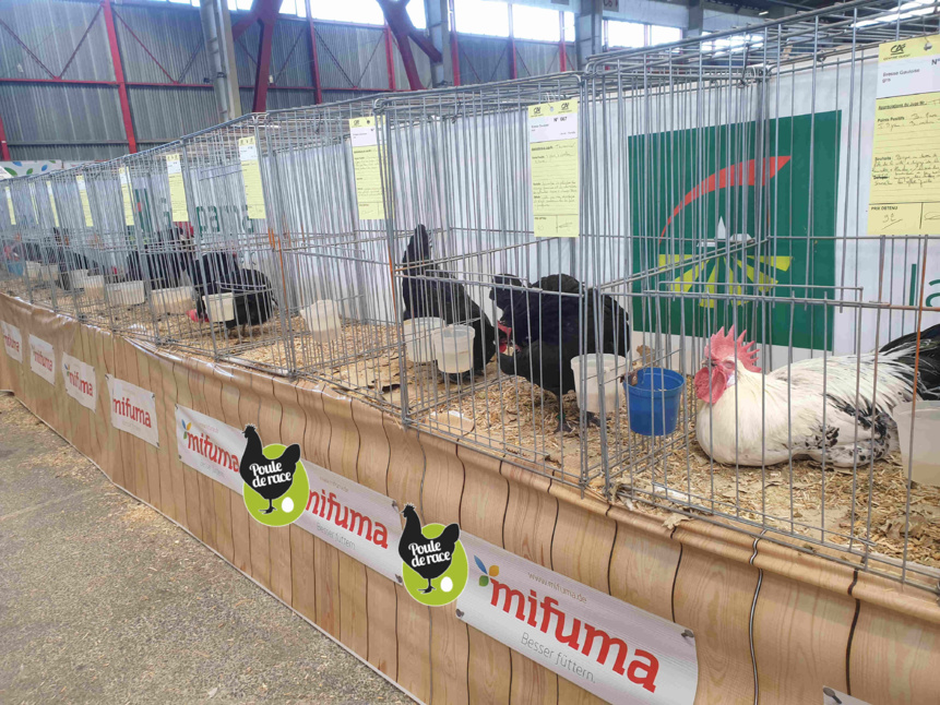 Exposition de Limoges 2021 Exposition de Limoges 2021