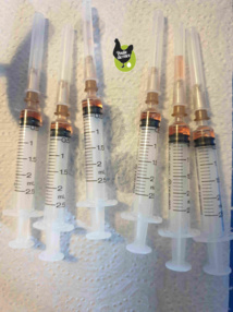 vaccination des poussins vaccination des poussins