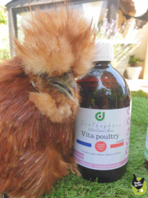J'ai 10 ans ça ne se voit pas, mon secret: vita-poultry J'ai 10 ans ça ne se voit pas, mon secret: vita-poultry
