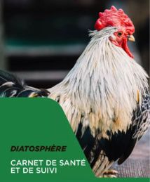 Diatosphère soins et hygiène naturels pour vos poules Diatosphère soins et hygiène naturels pour vos poules
