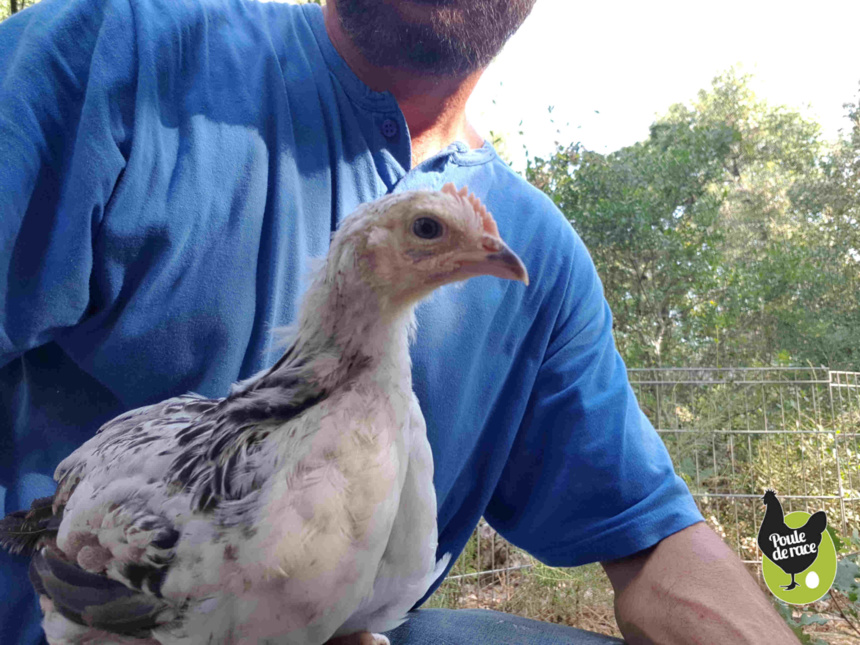 Qui suis-je ? Qui suis-je ?