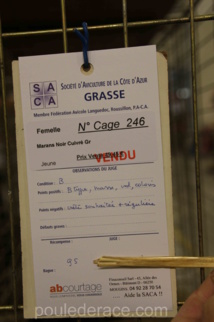 Fiche signalétique Fiche signalétique